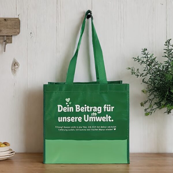 Customized Logo Eco-Friendly Plastic Shopping Bags with Handle Recyclable Business Gift Bag for Customers